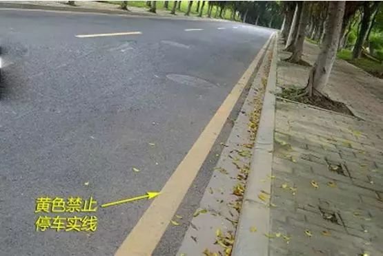 司机开车最多的违章，车辆违反禁止标线指示，直接被罚200扣3分