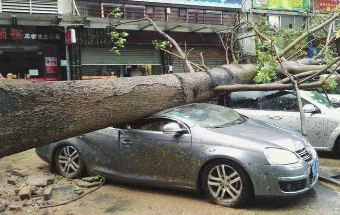 自然灾害导致汽车受损怎么办