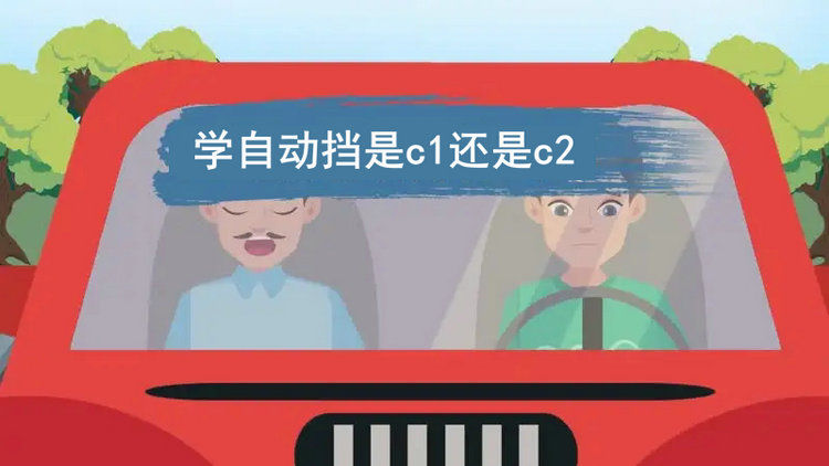 学自动挡是C1还是C2