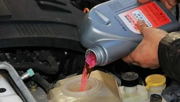 汽车加防冻液多少钱