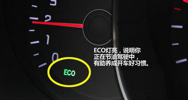 车上显示eco绿灯是什么意思