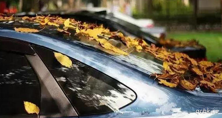 树油滴在车上对车漆有什么影响