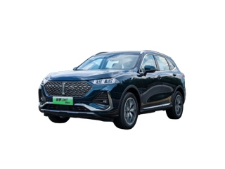 魏牌 拿铁DHT-PHEV 车型图