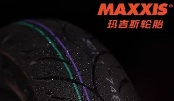 轮胎品牌排行榜前十名 米其林轮胎舒适性高(是世界品牌500强)