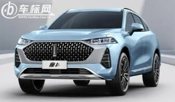 一个竖长条的车标suv 魏派汽车品牌(中国豪华suv品牌)