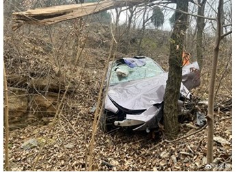 小米SU7不慎冲下近30米陡坡翻滚撞树致报废：完好护住车里三人 封面图