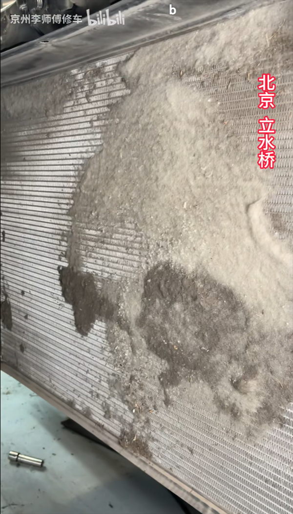 你的车可能真会被防虫网闷死！