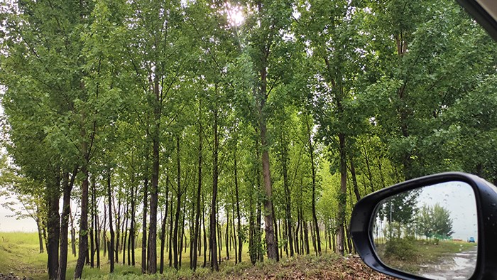 雨后见美景 雷克萨斯RX450hL怀来官厅游记