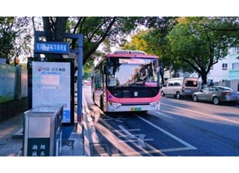 星际跃入湖州，璀璨那一抹玫瑰红 封面图