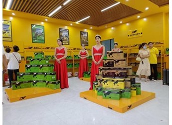 再创佳绩，DF蓄电池旗舰店全国已达12家 封面图