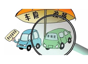 不买车损险撞到别人车怎么赔 封面图