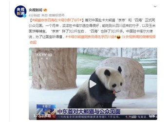 跨越千山万水，送“四海”“京京”出门的娘家人原来是TA！ 封面图