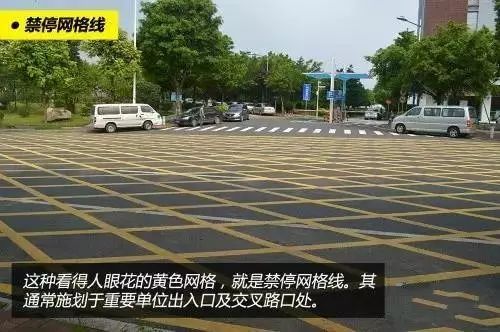 哪些标线不能压? 哪些行为属于“违反禁止标线指示”？