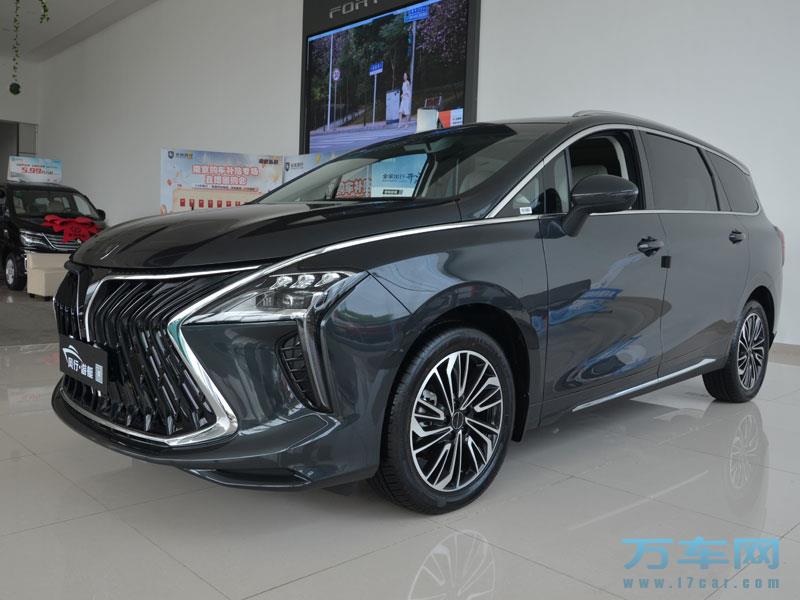 2022款 东风风行游艇 风行游艇高清图片