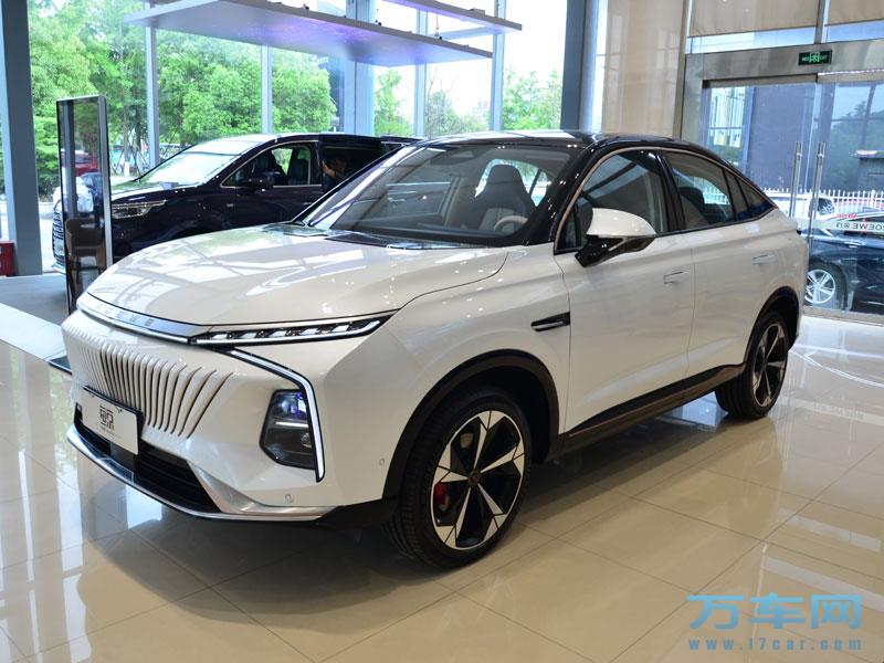 2022款 上汽荣威鲸 荣威鲸高清图片