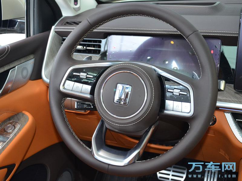 2022款 坦克500 坦克500高清图片