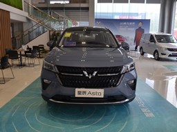 2021款 上汽通用五菱星辰高清图片缩略图