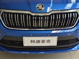 2022款 上汽斯柯达柯迪亚克高清图片缩略图