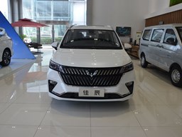 2022款 上汽通用五菱佳辰高清图片缩略图