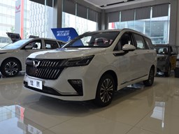 2022款 上汽通用五菱佳辰 缩略图