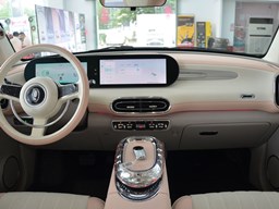 2022款 欧拉芭蕾猫高清图片缩略图