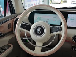 2022款 欧拉芭蕾猫高清图片缩略图