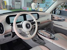 2022款 欧拉芭蕾猫高清图片缩略图