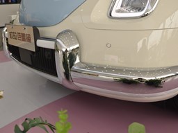 2022款 欧拉芭蕾猫高清图片缩略图