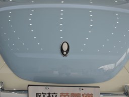 2022款 欧拉芭蕾猫高清图片缩略图