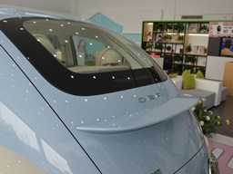 2022款 欧拉芭蕾猫高清图片缩略图