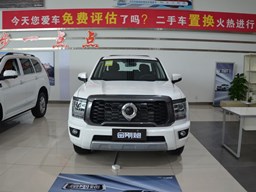 2022款 长城金刚炮高清图片缩略图