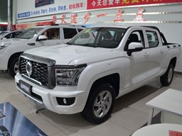 2022款 长城金刚炮高清图片缩略图