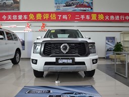 2022款 长城金刚炮高清图片缩略图