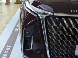 2022款 上汽大通MAUXS G90高清图片缩略图