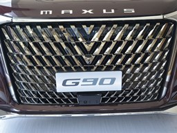 2022款 上汽大通MAUXS G90高清图片缩略图
