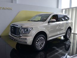 2022款 坦克500高清图片缩略图