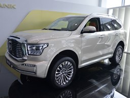 2022款 坦克500高清图片缩略图