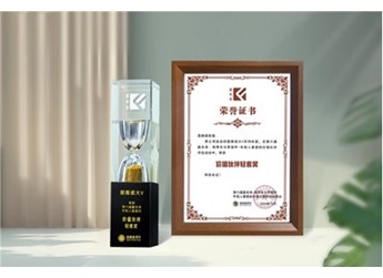 轻松高效创造价值 图雅诺大V荣膺价值伙伴轻客奖 封面图