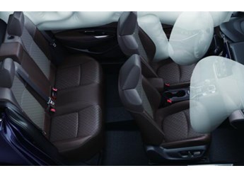 数九寒天如何安稳过冬?全能亚洲狮送您“四不怕” 封面图