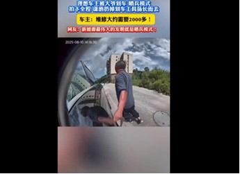 理想汽车停路边惨遭划车 陌生大爷潇洒离开：哨兵模式记录全过程 封面图