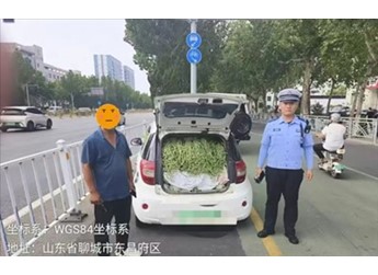 山东“豆橛子”又爆仓了 A00级小汽车塞满豆角 轮胎都压瘪了 封面图