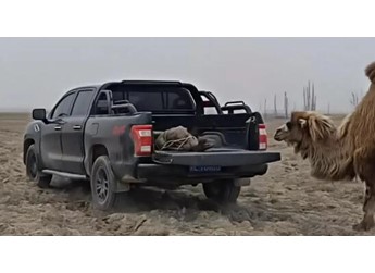 农资运输皮卡选车攻略｜福田火星7征服烂路 硬核护航农资配送 封面图