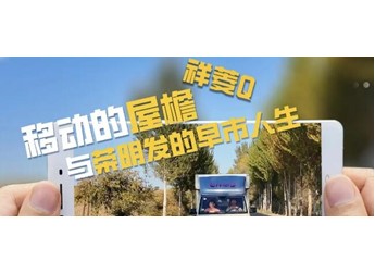 一辆祥菱Q，撑起他的星辰与早市 封面图