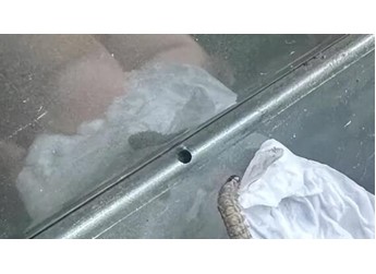 车身莫名其妙出现小圆洞！多地街头近期频现 不少车主已中招